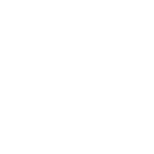 Facebook Icon White