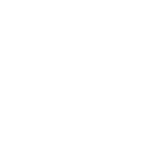 Instagram Icon White