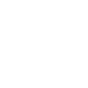 Linked In Icon White