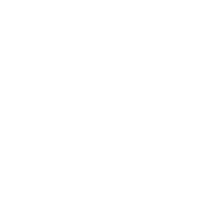 X Icon White